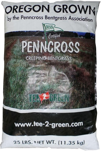 Outsidepride PC2.0 (Penncross) Creeping Bent Grass Seed – 2 lbs. Premium Golf Course Grade, Dense, Wear-Resistant Turf Grass Seeds for Tees, Putting Greens & Fairways, Ideal for High Traffic Areas