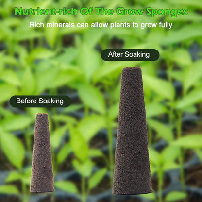 150P Grow Sponges for Hydroponics, Windspeed Grow Anything Seed Pod kit Include 50 Grow Sponges, 24 Grow Baskets, 24 Grow Domes, 50 Pod Labels, 2 Tweezers