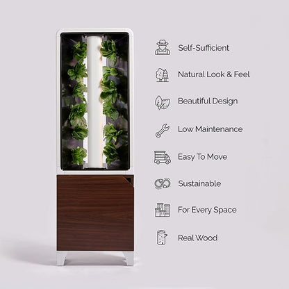 Just Vertical EVE Indoor Hydroponic Garden | Modern Furniture-Style Vertical Planter | Grow 12 Fresh Herbs & Vegetables Year-Round | Self-Watering, Energy-Efficient LED, Compact Design