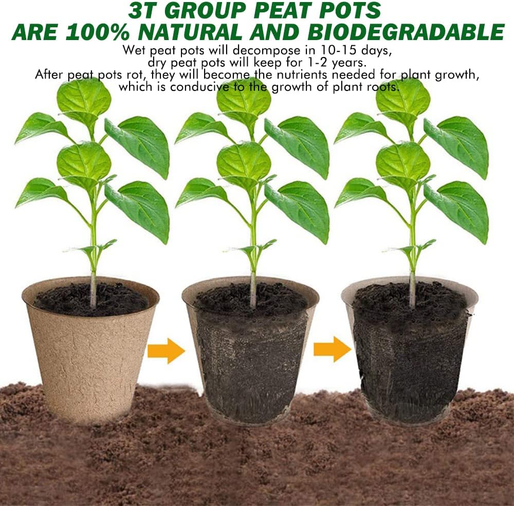 3T GROUP 50 Pcs 3 Inch Small Plant Pots,Compostable Flower Pots for Plants,Biodegradable Seed Pots,Disposable Planting Peat Pot Cups with Labels for Vegetables,Fruit