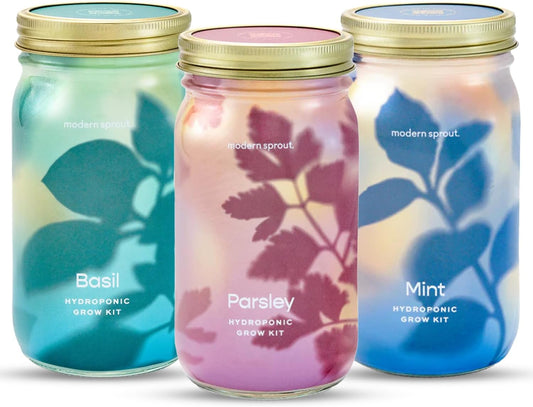 Modern Sprout Garden Jar Gift Pack - Self-Watering Hydroponics Growing System Kit with Organic Herb Seeds - Seed Starter Kit for Indoor Herb Garden - Home Decor & Gifting - Basil, Parsley & Mint