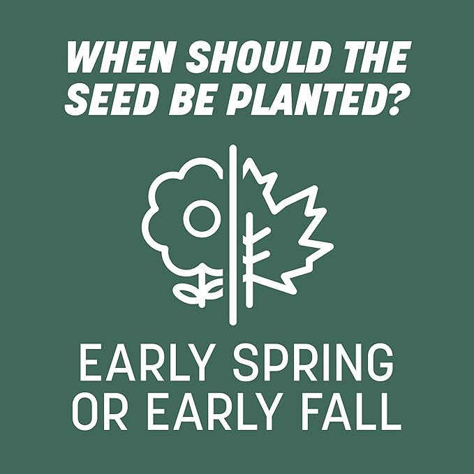 Pennington Kentucky 31 Tall Fescue Penkoted Grass Seed 40 lbs