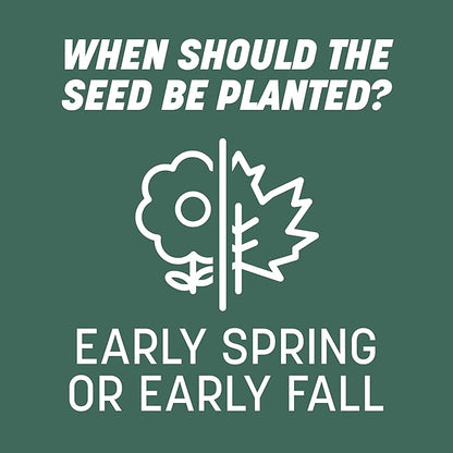 Pennington Kentucky 31 Tall Fescue Penkoted Grass Seed 40 lbs