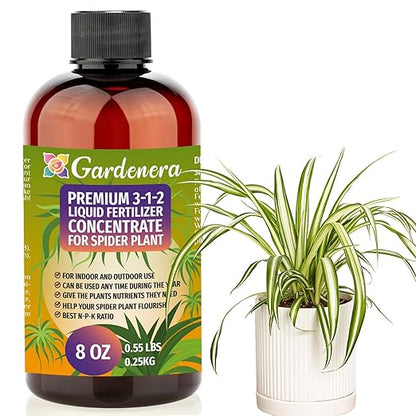 Premium Liquid Spider Plant Fertilizer - 3-1-2 Concentrate for Indoor Plants and Flowers by Gardenera | Organic Plant Food for Spider Plants - 8oz