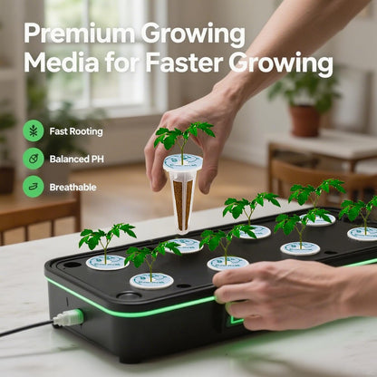 Salad Seed pod Kit for AeroGarden, Includes Spinach/Romaine Lettuce/Cherry Tomato Seed - Hydroponics Supplies for Most Brands 8-POD