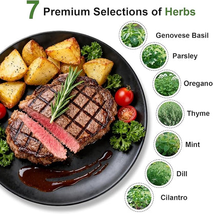 Gourmet Herb Seed Pod Kit for AeroGarden, idoo, Ahopegarden, MUFGA with Basil, Parsley, Thyme, Mint, Cilantro, Dill, Oregano - Hydroponics Supplies for Most Brand (7-pod)