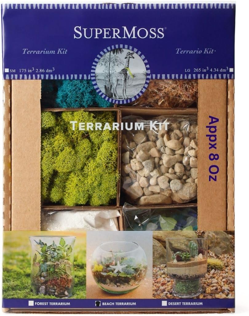 SuperMoss (90420) Beach Terrarium DIY Kit – Create Stunning Nature-Inspired Mini Gardens – Perfect for Home Decor, Office Gifts, and Plant Lovers, Appx 8 Oz
