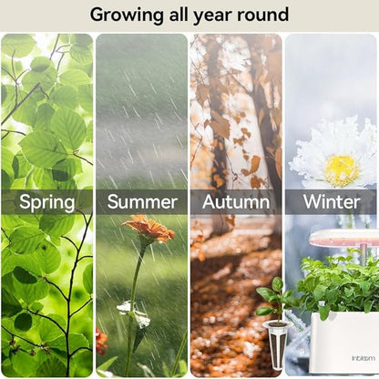 inbloom Fragrant Bouquet Seed Pod Kit for AeroGarden, iDoo, Ahopegarden, GARDENCUBE, 12 Pods (350+ Flower Seeds with Sunflower, Petunia, Mexican Marigold, Cockscomb, French Marigold, Dahlia)