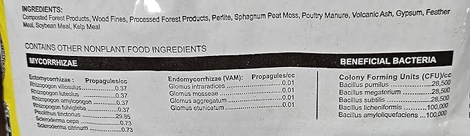 LGM Cactus & Succulent Palm & Citrus Mix, Ideal Potting Soil for Indoor & Outdoor Plants, (.5 Cu Ft.)