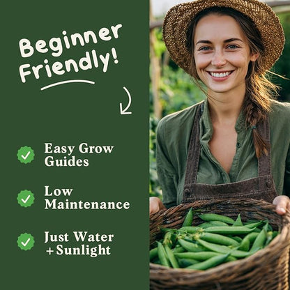 Seedboy Organic Sugar Snap Pea Seeds for Planting Indoor and Outdoor, Non-GMO and USDA Certified Vegetable Seed Packet for Hydroponic Garden Indoor or Planting Outdoors (Sugar Snap Peas)