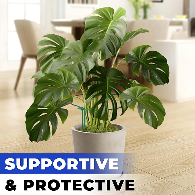 12 Pack Tall Snake Plant Support Stakes – 10" W x 24" H Half Round Peony Cages and Supports for Indoor and Outdoor Plants – Plant Cage Ring Support for Flower - Peony, Tomato, Hydrangea, Rose Bush