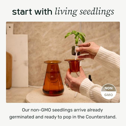 Counterstand Set – Vase Plant for Indoor Edible Garden Kit for Herbs & Lettuce – Small-Space Hydroponic System – Home Decor & Gifting – with Glow Lamp