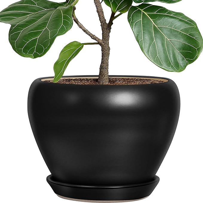 Deep Dream 10 Inch Plant Pot- Ceramic Planter Pot Round Plant Pots for Indoor Plants Outdoor Large Flower Pot with Drainage Holes & Trays, Black