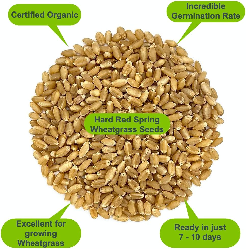 Organic Wheatgrass Self Watering Kit Refill Mats & Seeds for 5 Crops. (Refill Kits)