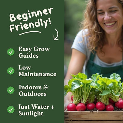 Seedboy Organic Radish Seeds for Planting Indoor and Outdoor, Non-GMO and USDA Certified Vegetable Seed Packet for Hydroponic Garden Indoor or Planting Outdoors (Cherry Belle Radish)