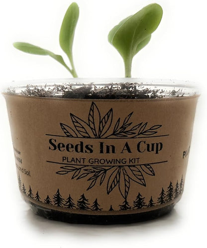 Peach Tree | Seeds In A Cup: Tree Starter Kit | Easy to use | Educational | Memorial Gift | Plant It for The Planet | Grow Your Own Tree |