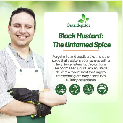Outsidepride Black Mustard Seeds - 5000 Pcs Nutrient-Rich, Flavorful Annual Microgreen Seeds for Planting, Easy-to-Grow, Ideal for Indoor & Outdoor Cultivation, Soil & Hydroponic Systems