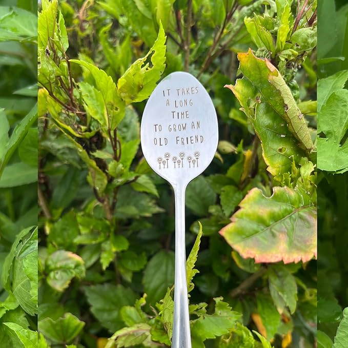 Garden Friendship Gift for Women Gardeners, Plant Marker Stake Label Sign Tag, Gardening Gifts for Woman Plant Lovers, Metal Garden Decoration (Grow an Old Friend-B)