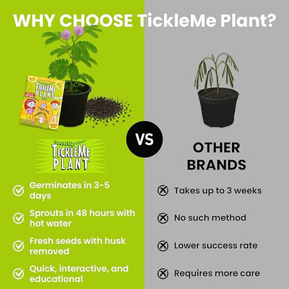TickleMe Plant Birthday Party Favors (Pack of 2) | Leaves Fold When You Tickle It, Reopen in Minutes | Kids Plant Growing Kit with Indoor Plants Seeds, Live Plants, Grow Kit, Gardening for Kids