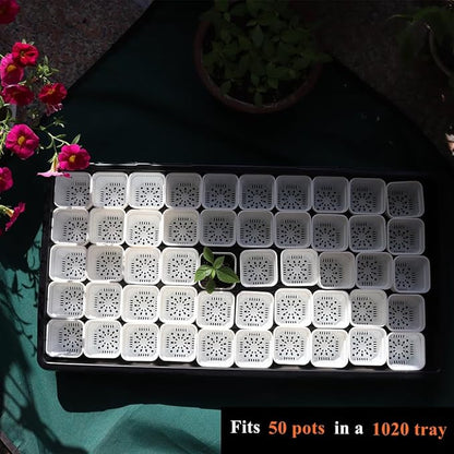 BangQiao 200 Pack 1.95 Inch Tiny White Plastic Square Nursery and Seedling Pot, Mini Transplant Seed Starter Planter with Drain Hole for Germination, Herb, Succulent