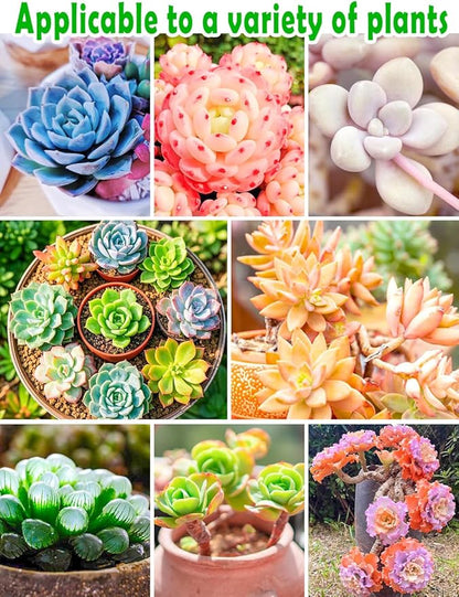 TOYPOPOR Succulent Soil, Cactus Potting Mix 6 Pounds/3QTS, High Drainage, Pre-Mixed Ready to Use for All Succulent Varieties, Indoor Plants, Bonsai, Terrarium, Houseplant, 70% Particles 30% Soil