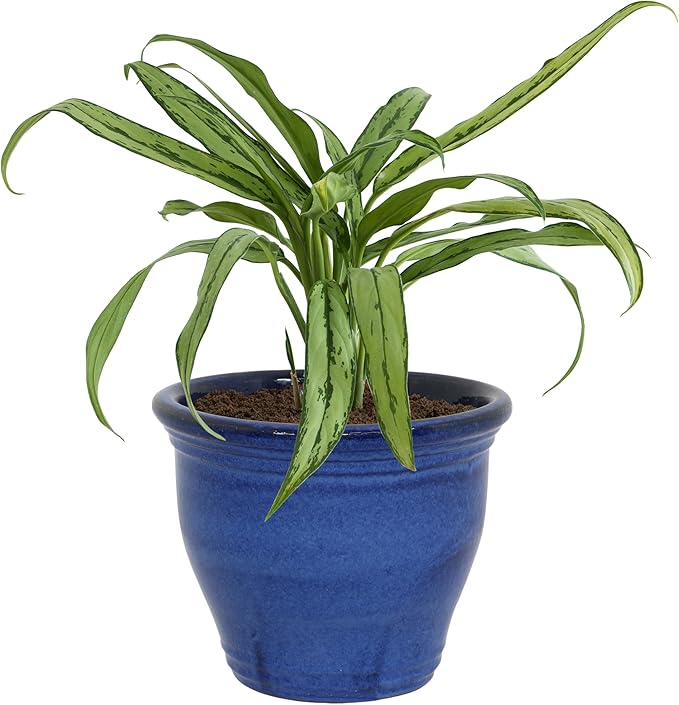 Sunnydaze Large Ceramic Plant Pot - Round Outdoor Glazed Ceramic Planter Pot with Drainage - Studio - Imperial Blue - 14.5"