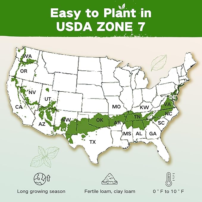 Lush&Dew Year-Round USDA Zone 7 Seed Bank, Gift for Mom Dad, 32 Varieties Non-GMO Heirloom Seeds of Vegetables, Flowers, Gardening Gifts for Women Men, Survival Kit for Raised Garden Bed, Greenhouse