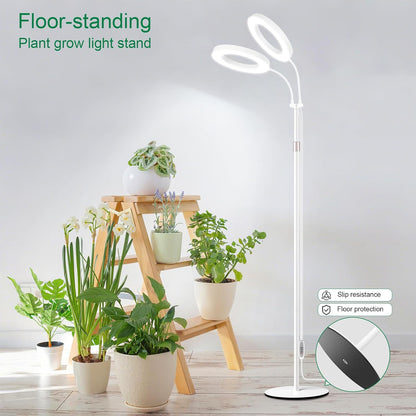 LBW Dual-Head Full Spectrum Grow Light with Stand – Adjustable Height (48.8-64.6"), Auto Cycle Timer (4/8/12H), 4 Brightness Levels, for Large Indoor Plants (White)