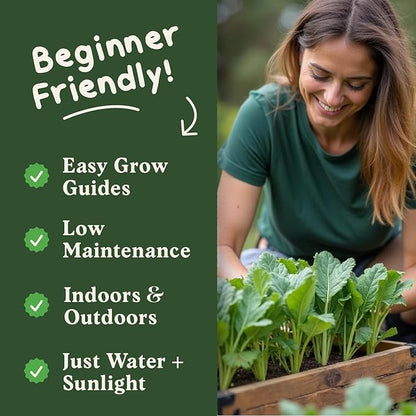 Seedboy Organic Spinach Seeds for Indoor Gardening or Planting Outdoors, Non-GMO and USDA Certified Vegetable Seed Packets, 350 Seeds/4 Grams (Bloomsdale Spinach)