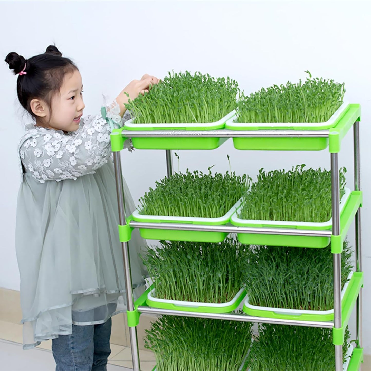 10 Pack Seed Sprouter Tray, Sprouter Microgreens Growing Kit BPA Free Nursery Tray Big Capacity Sprouts Growing Kit for Indoors or Outdoors Sprouting Seeds, Cat Grass, Beans, Wheatgrass