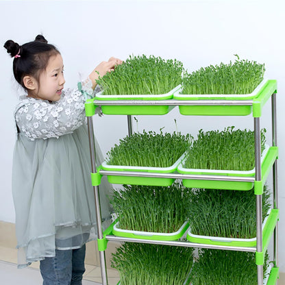 10 Pack Seed Sprouter Tray, Sprouter Microgreens Growing Kit BPA Free Nursery Tray Big Capacity Sprouts Growing Kit for Indoors or Outdoors Sprouting Seeds, Cat Grass, Beans, Wheatgrass