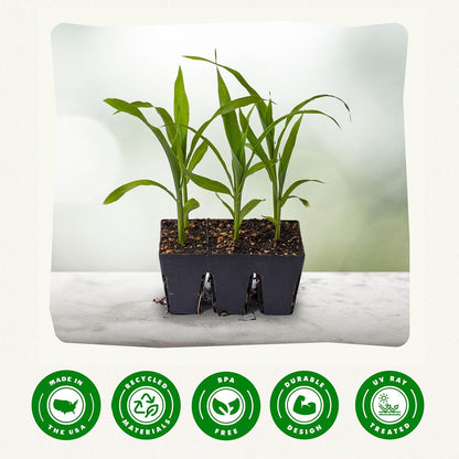 Epic Gardening Reusable Seed Starter Tray - Easy Watering Seed Starting Trays - Gardener Friendly Plant Trays for Seedlings | UV-Treated & BPA-Free -6-Cell Seed Starting Trays - 6 Trays/Black