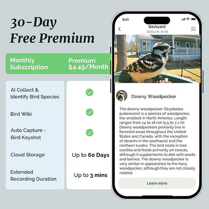 Beako™ Smart Bird Feeder with 4K Camera 4.4W Solar Roof for Outdoors - Ultra HD Live Stream & Photos, 10,000+ Bird Species AI-Identified, Real-Time Motion Detection, Easy Setup, Refill & Clean