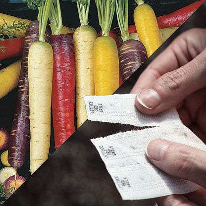 Park Seed Easy DIY Planting Sow Effortless Collection Seed Tape, Rainbow Blend Carrot, 15 Feet