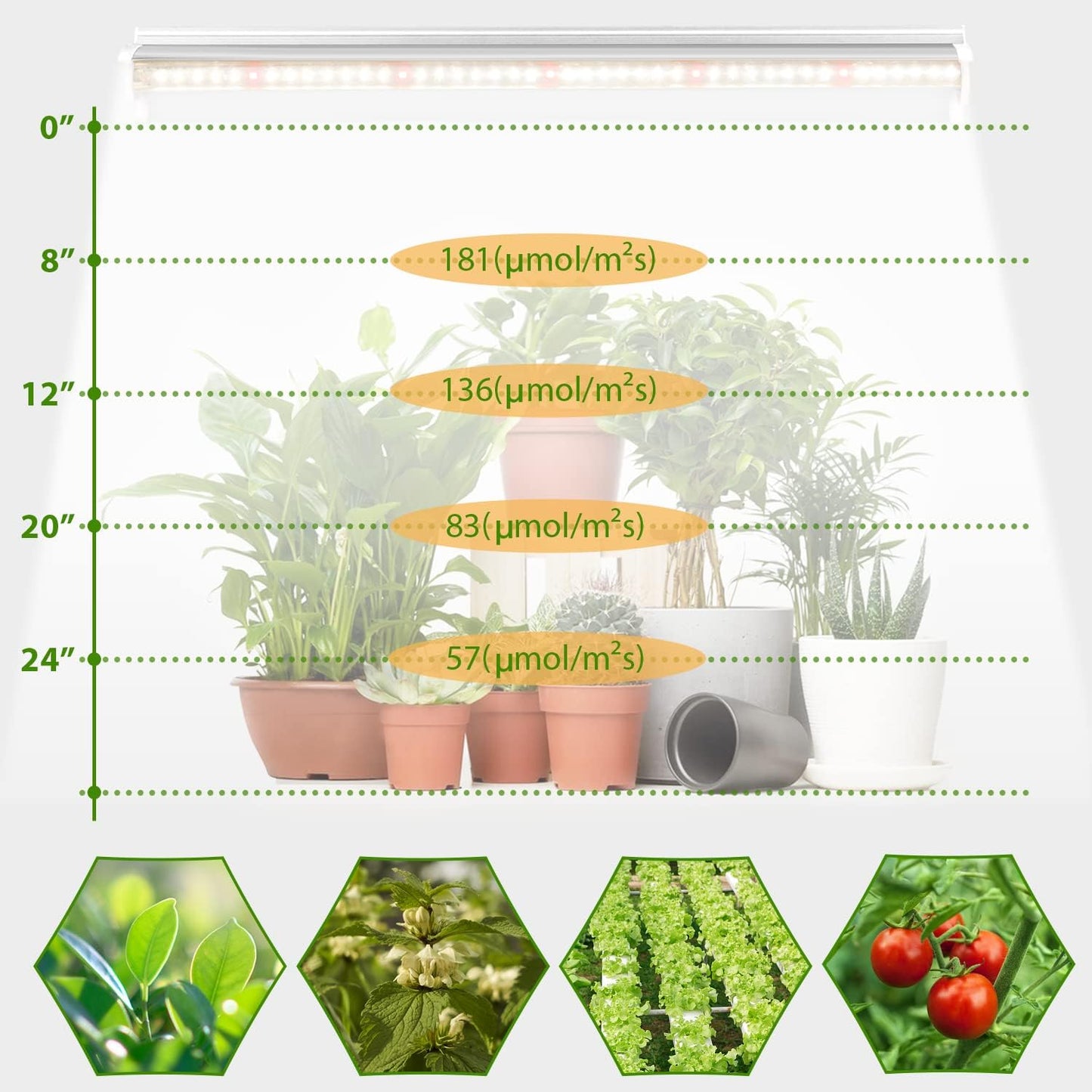 Grow Light T5 1.4Ft (2pcs x 10 Watts),5000k White Full Spectrum LED Lamp Plant Light Strips for Indoor Plant Growing,End-to-End Connectable with V-Shaped Reflector