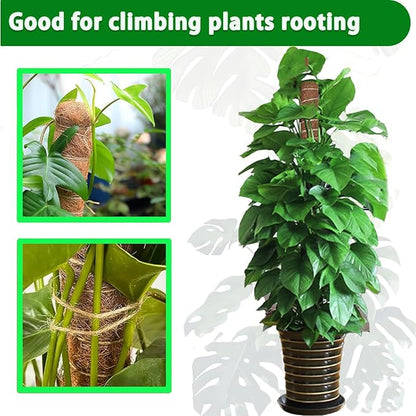 Moss Pole, 2 Pack 17 Inch Monstera Plant Support for Climbing Plants Accessories Indoor, Stackable Moss Poles Plant Support Stakes, Coir Plant Pole Sticks for Potted Plants, Pothos, Philodendron