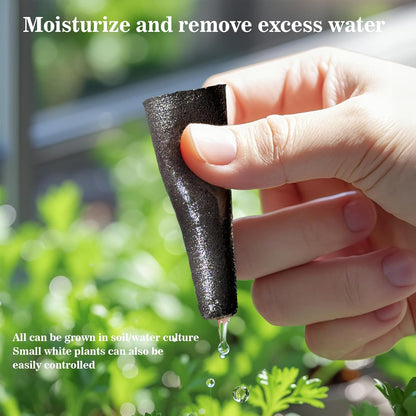50 pcs Grow Sponges for Hydroponics Compatible with AeroGarden, Hydroponics Growing System Pods, General Hydroponics Rapid Rooter, Starter Plug for Seeds or Cuttings