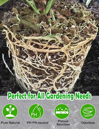 TOYPOPOR Perlite for Plants, 3-6mm Organic Perlite for Gardening, Perlite for Plants Indoor, Soil Additive Conditioner Mix Improve Drainage and Ventilation Promote Root Growth and Soil Health 1qt