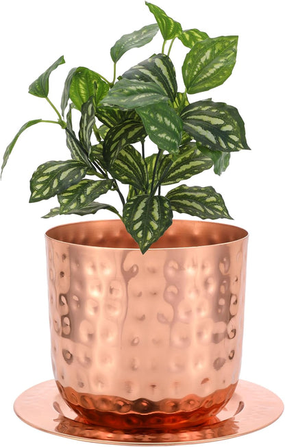 Glytterati - Indoor Watering Can and Planter with Plate.