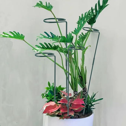 Plant Stake Support - 6 Pack Adjustable Height 16" or 30", Garden Support Stake Plant Cage Support Rings, Single Stem Plant Support Stakes, for Flowers Amaryllis Tomatoes Peony Lily Rose (30inch)