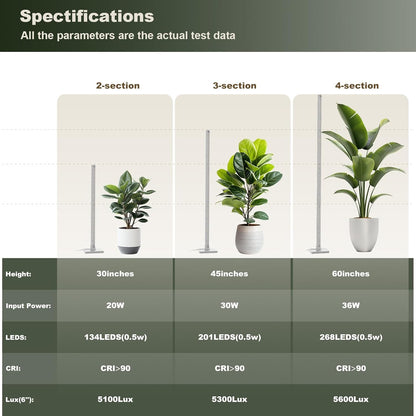 GLOWRIUM Grow Lights for Indoor Plants, 36W Vertical Plant Grow Lights with Auto-Timer, Full Spectrum LED Standing Plant Grow Light, 3 Light Modes, 6-Level Dimmable (60 in(Silver))