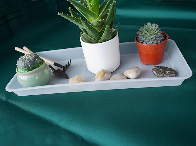 2 Pack of Plastic Plant Tray Saucer Rectangular, Plant Trays Saucers for Indoors Outdoor, Plant Water Drip Tray for Flower Pot Planter, Windowsill Plant Tray (6.5 X 13 Inch, Clear)