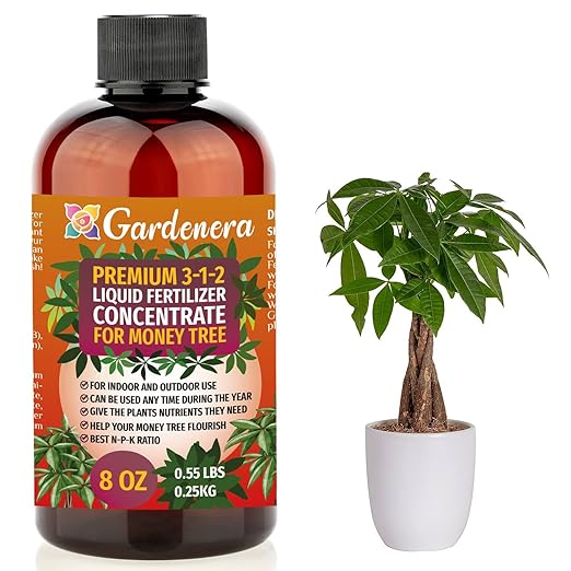Premium Liquid Money Tree Plant Fertilizer - 3-1-2 Concentrate for Indoor Plants and Flowers by Gardenera | Organic Plant Food for Money Tree - 8oz