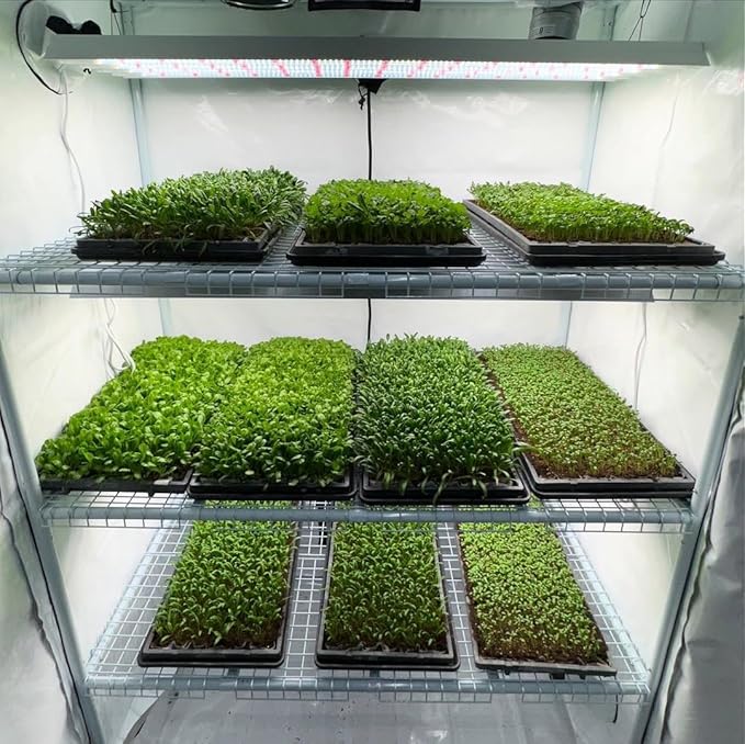 Active Grow 4FT T5 HO LED Grow Light – 4×25W Full Spectrum Panel, Sun White Pro, Daisy-Chainable – Ideal Grow Light for Indoor Plants, Seeds & Starts, T5 Grow Lights Fixture