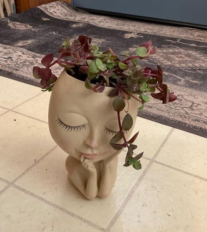 Sprout N Green Calico Kitten | Crassula Pellucida Variegata, 4in Live Succulent Fully Rooted with Soil Mix, Rare House Plant for Home Holiday Wedding Garden Decor, DIY Projects, Party Favor