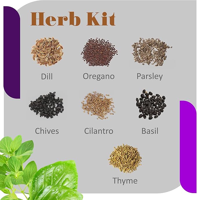 Herb Kit - 6,000+ Seeds for Cilantro, Basil, Dill, Oregano, Parsley, Chives, and Thyme - for Fresh Cooking - Grow Indoors or Outdoors - Ideal for Beginners and Gardening Enthusiasts