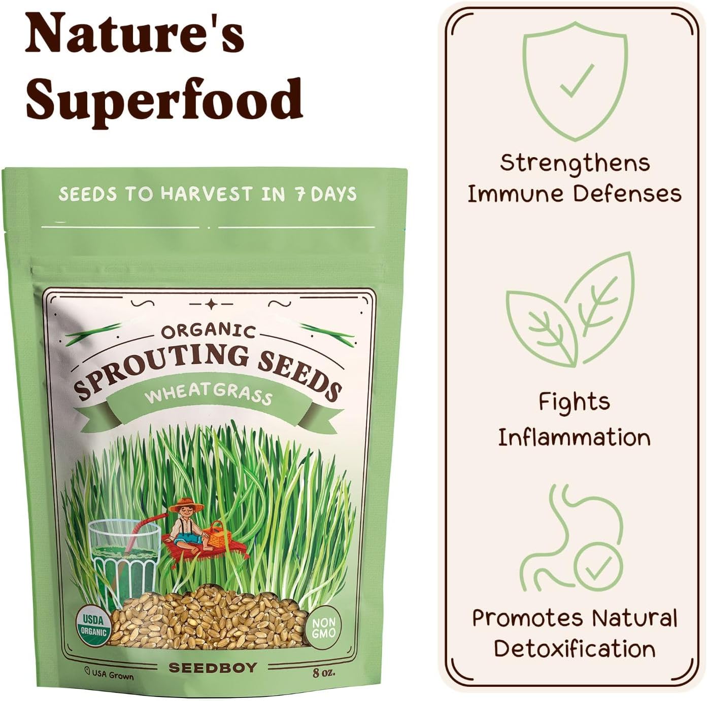 Seedboy Organic Wheatgrass Seeds for Microgreens - Non-GMO, USA Grown Microgreens Sprouting Seeds Mix (8 oz) (Hard Red Spring Wheatgrass)