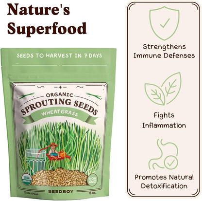 Seedboy Organic Wheatgrass Seeds for Microgreens - Non-GMO, USA Grown Microgreens Sprouting Seeds Mix (8 oz) (Hard Red Spring Wheatgrass)