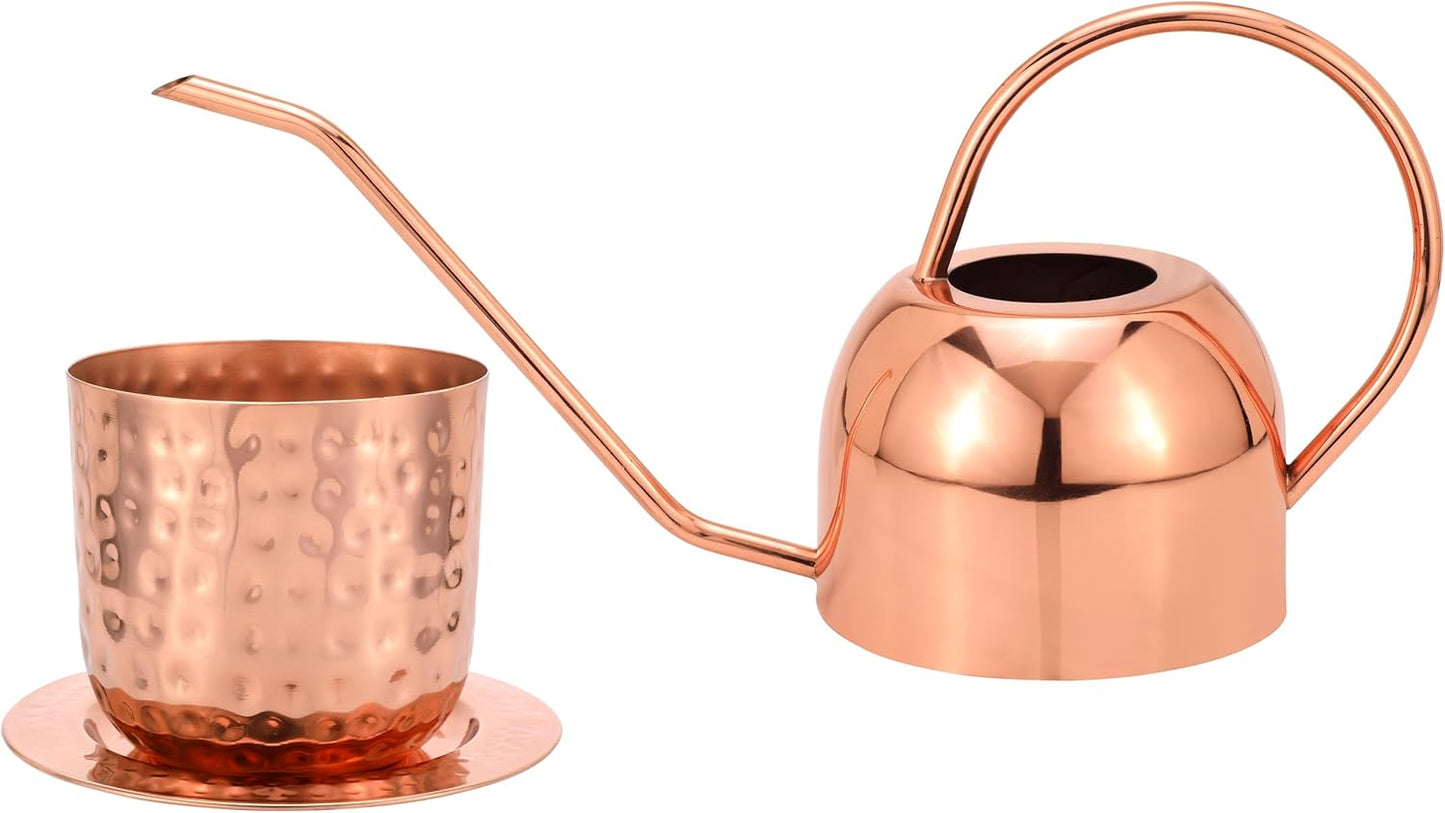 Glytterati- Indoor Watering Can and Planter with Plate.