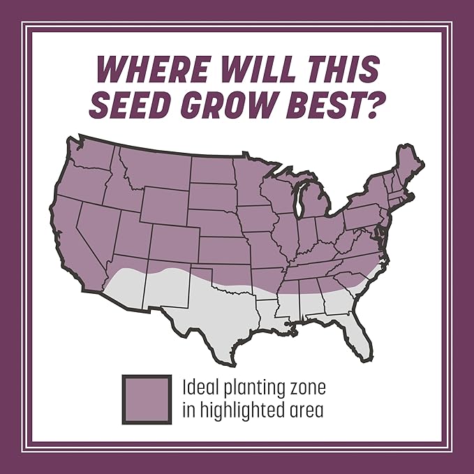 Pennington The Rebels Tall Fescue Shady Grass Seed Mix 7 lb